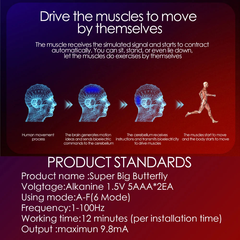 EMS Muscle Stimulator – Abdominal, Hip & Arm Trainer for Fat Burning, Toning & Fitness Massage